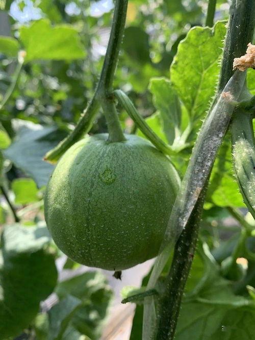 最近娱乐圈可以吃的瓜,明星们的甜蜜与苦涩