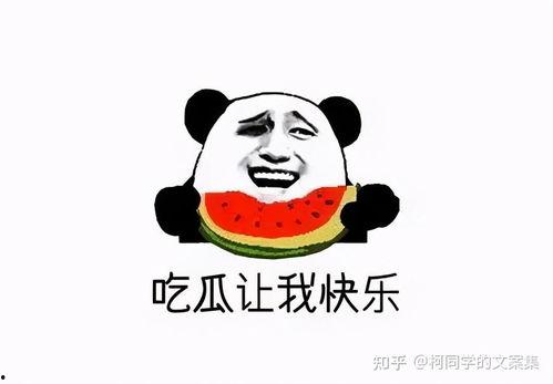 娱乐吃瓜群文案搞笑,笑料百出，吃瓜群众笑翻天！