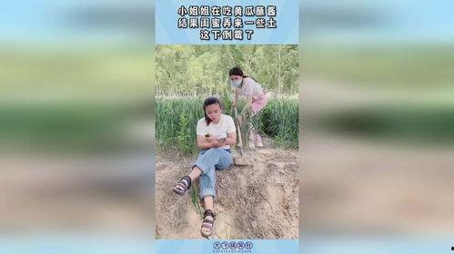 娱乐吃瓜酱给闺蜜打掩护,携手共度“吃瓜”时光