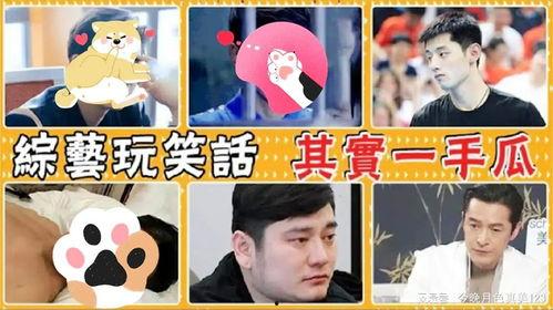 娱乐圈吃瓜有迹可循