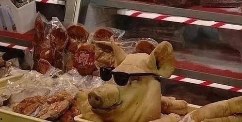 猪头娱乐圈吃瓜,揭秘明星们的“吃瓜”生活